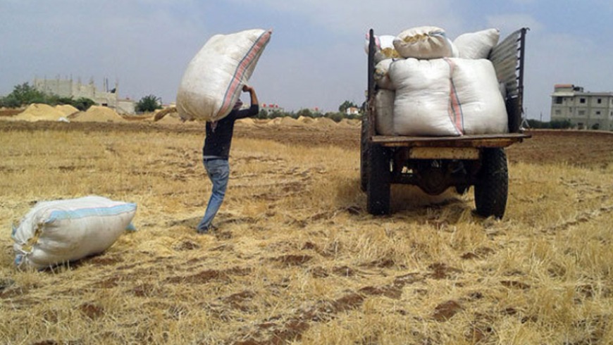 Statistic Analysis of Charts