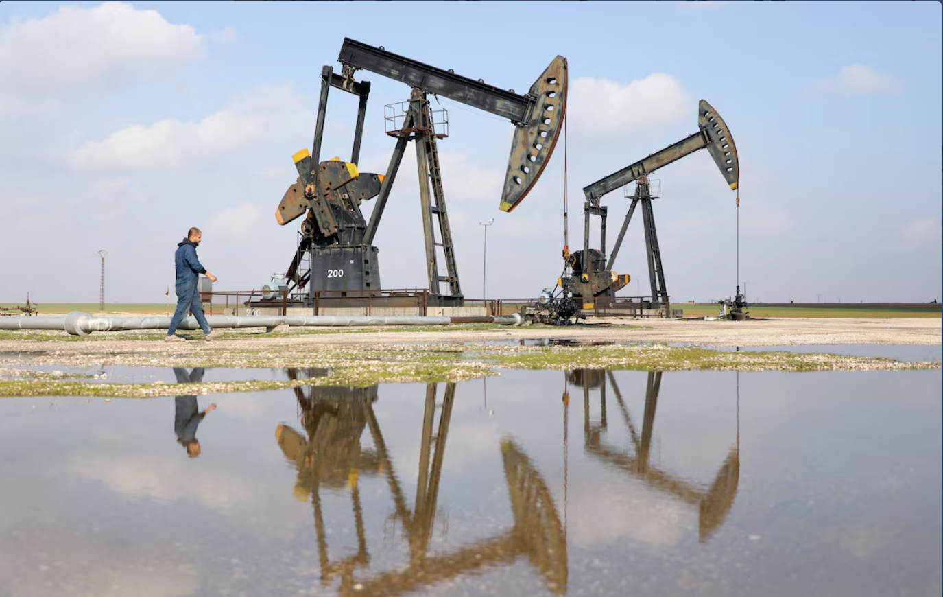 Statistic Analysis of Charts