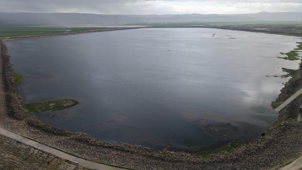 Statistic Analysis of Charts