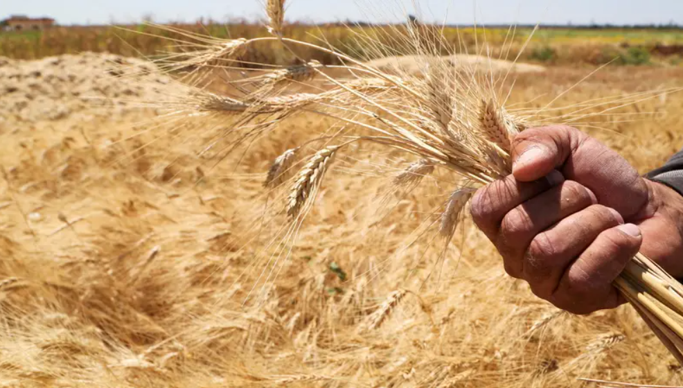 Statistic Analysis of Charts